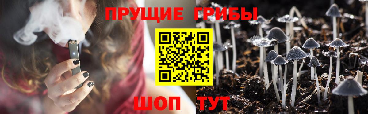 Мценск  Галлюциногенные грибы прущие грибы  Вход с VPN  Псилоцибиновые грибы MAGIC MUSHROOMS 