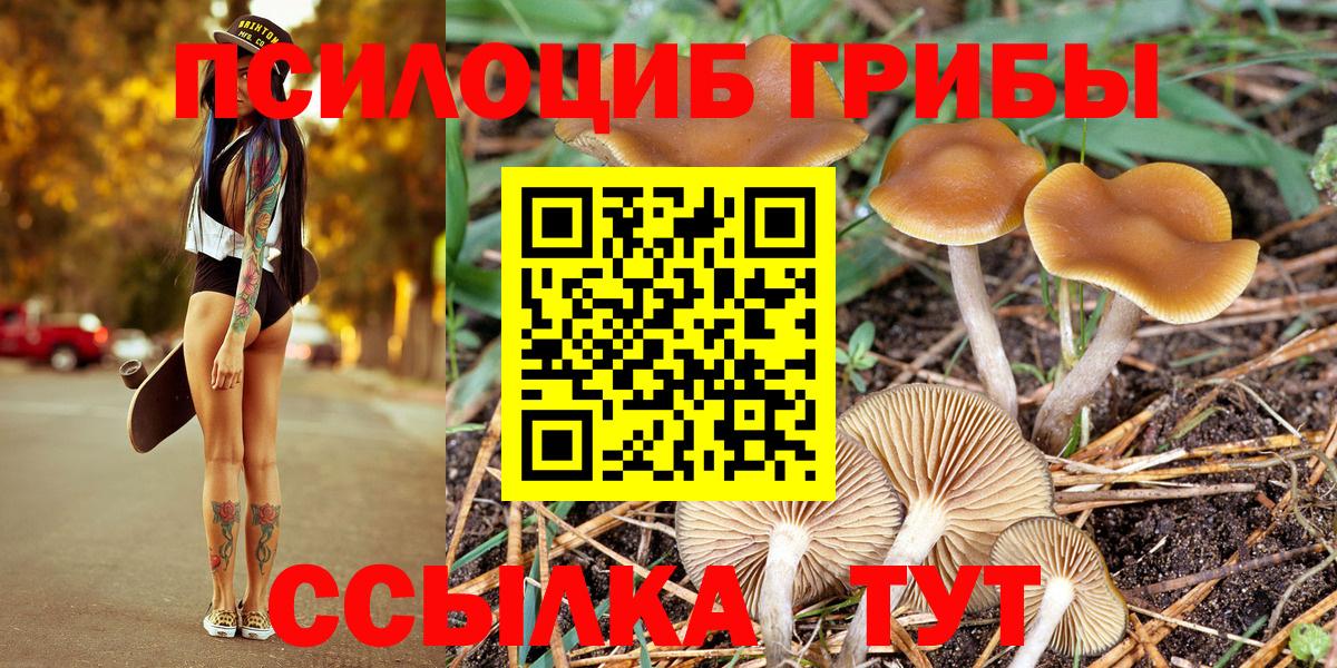 Псилоцибиновые грибы Magic Shrooms Мценск